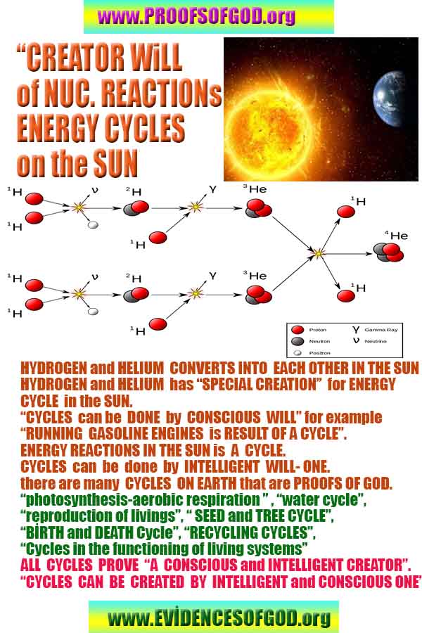 evidences of God, proofs of God, proof of God, signs of God, God is real proofs, God exists proofs, god exists, god is real evidences and proofs