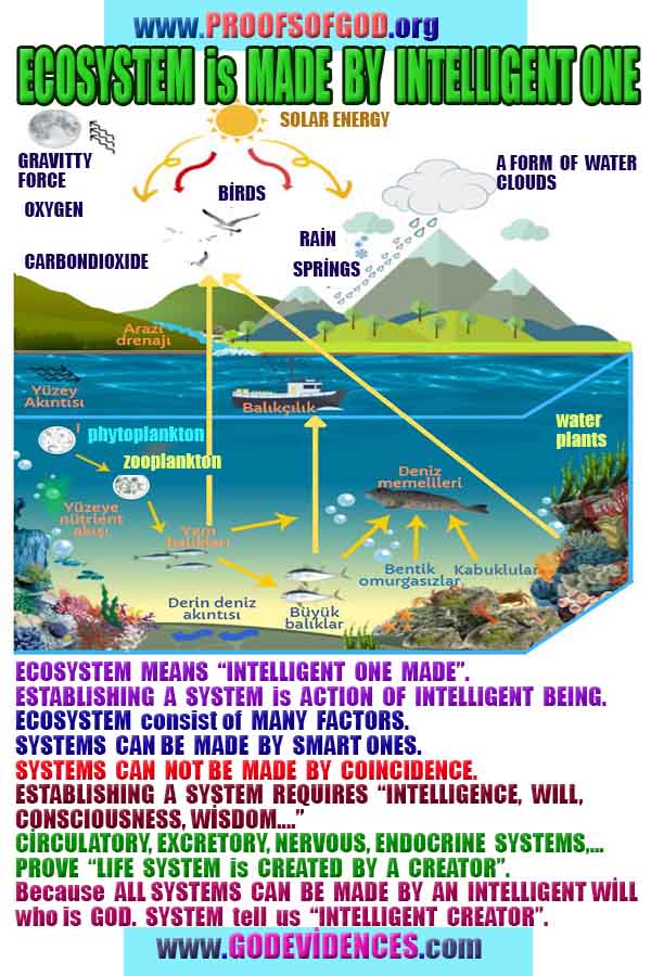 evidences of God, proofs of God, proof of God, signs of God, God is real proofs, God exists proofs, god's evidences