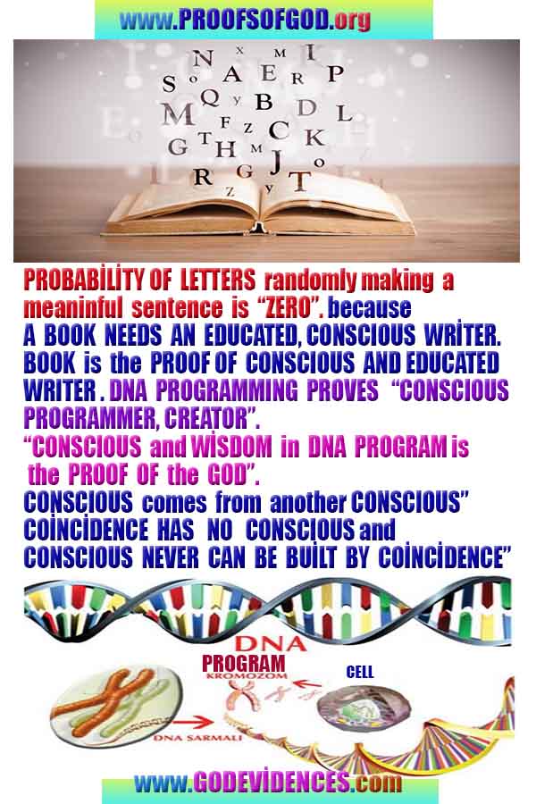 evidences of God, proofs of God, proof of God, signs of God, God is real proofs, God exists proofs, god exists, god is real evidences and proofs