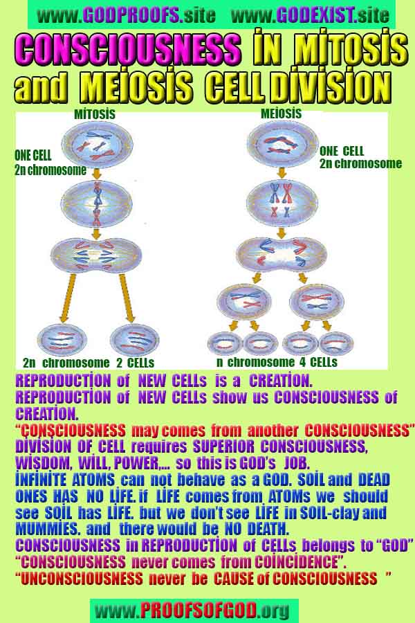 evidences of God, proofs of God, proof of God, signs of God, God is real proofs, God exists proofs, god's signs