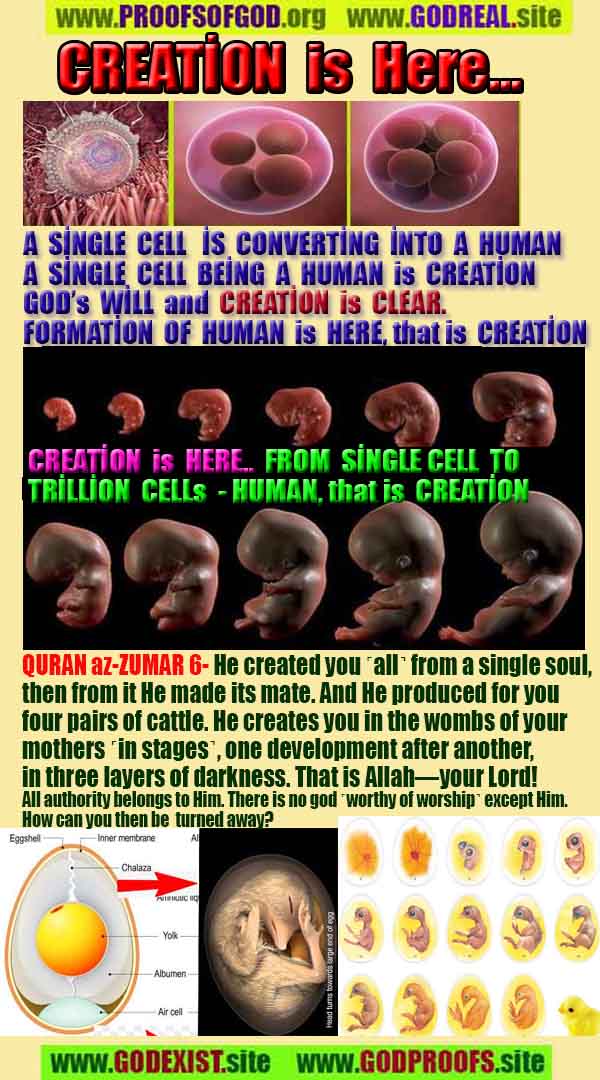 evidences of God, proofs of God, proof of God, signs of God, God is real proofs, God exists proofs, god's proofs