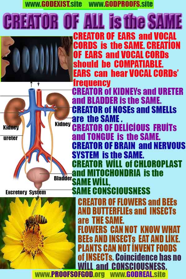 evidences of God, proofs of God, proof of God, signs of God, God is real proofs, God exists proofs, god's evidences