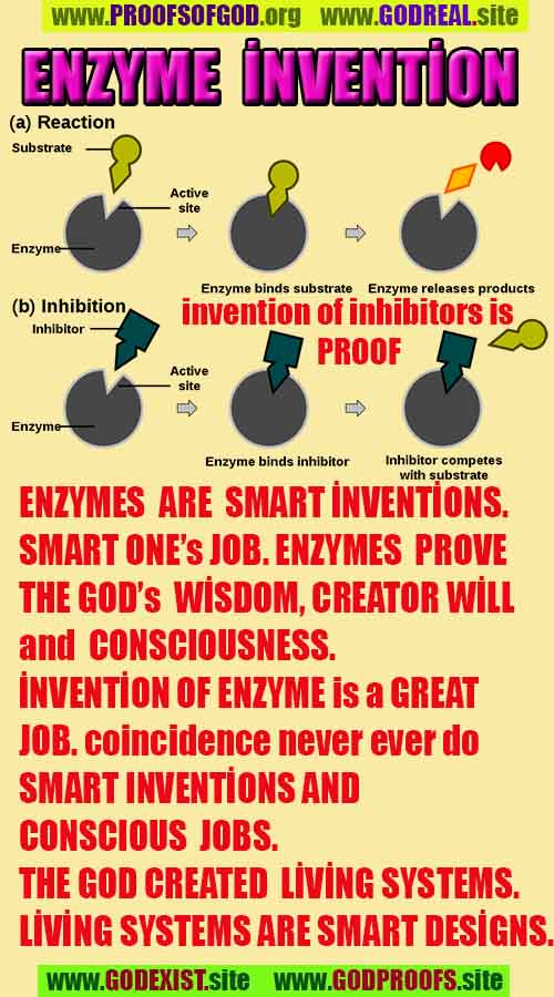 evidences of God, proofs of God, proof of God, signs of God, God is real proofs, God exists proofs, god's signs
