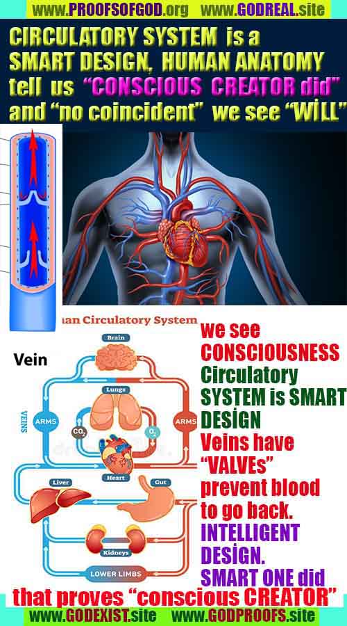 evidences of God, proofs of God, proof of God, signs of God, God is real proofs, God exists proofs, god's evidences