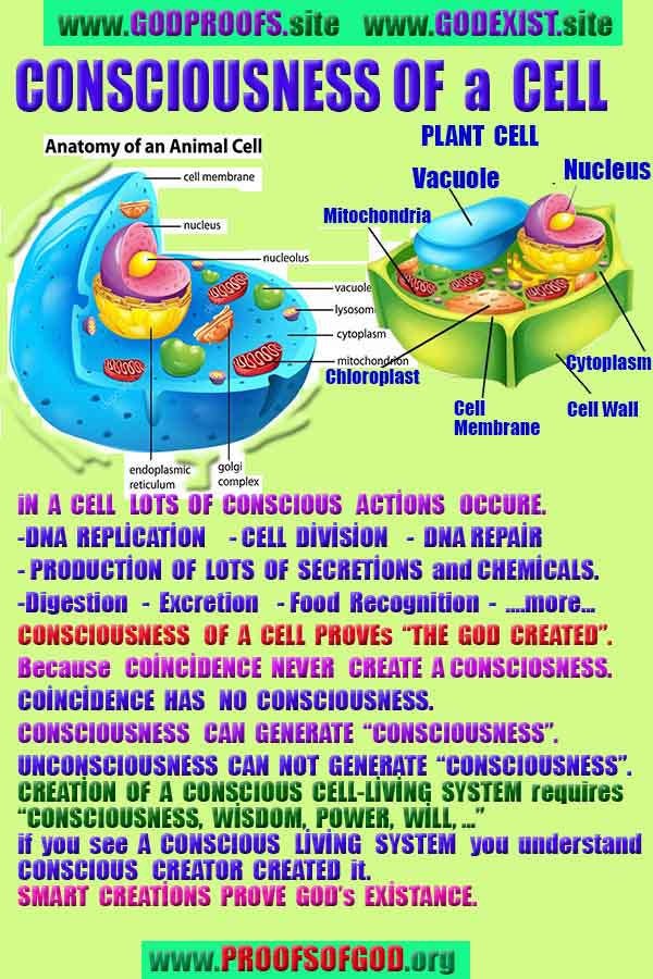 evidences of God, proofs of God, proof of God, signs of God, God is real proofs, God exists proofs, god's signs