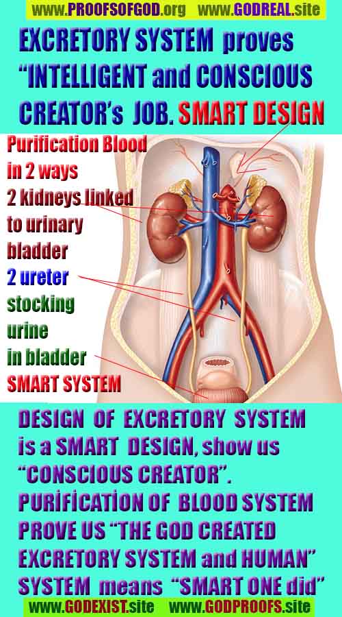 evidences of God, proofs of God, proof of God, signs of God, God is real proofs, God exists proofs, god exists, god is real evidences and proofs