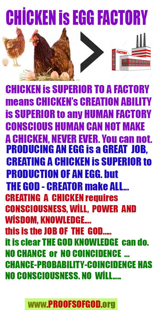 evidences of God, proofs of God, proof of God, signs of God, God is real proofs, God exists proofs, god exists, god is real evidences and proofs