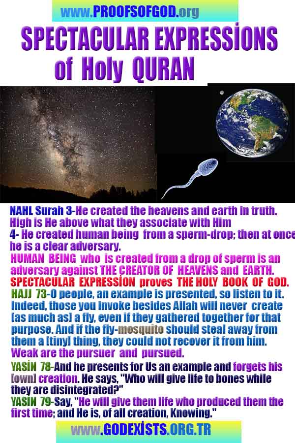 evidences of God, proofs of God, proof of God, signs of God, God is real proofs, God exists proofs, god's signs